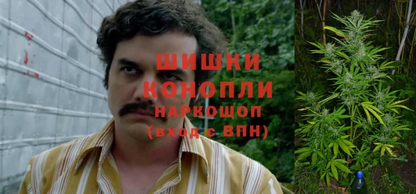ПСИЛОЦИБИНОВЫЕ ГРИБЫ Верхнеуральск