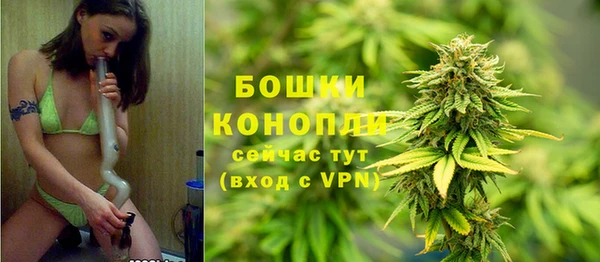 ПСИЛОЦИБИНОВЫЕ ГРИБЫ Верхнеуральск