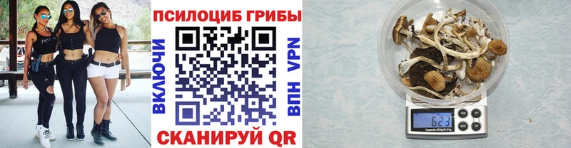 Псилоцибиновые грибы мицелий  Вичуга 